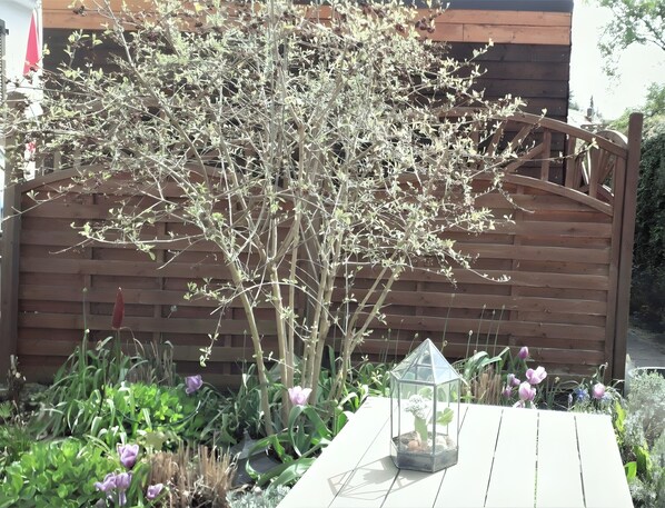 Terrain de l’hébergement 