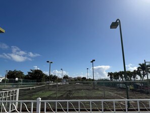 Sports court - Tropical Escape - Beautiful Condo in Ceiba (Ceiba)