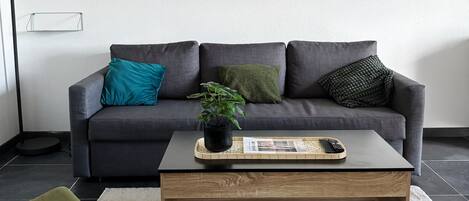 Televisión y libros