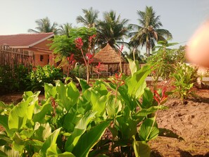 Unclassified image, 2 of 17, button - Villa Colibri Cottage with swimming pool near Kpime waterfall (Kpime)