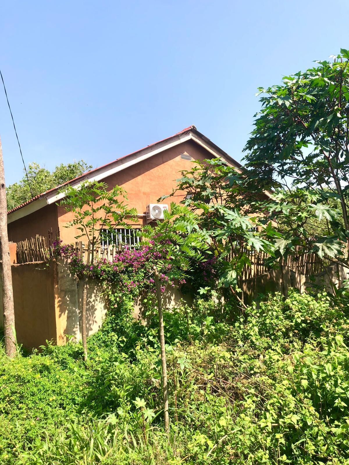 Terrein van de accommodatie