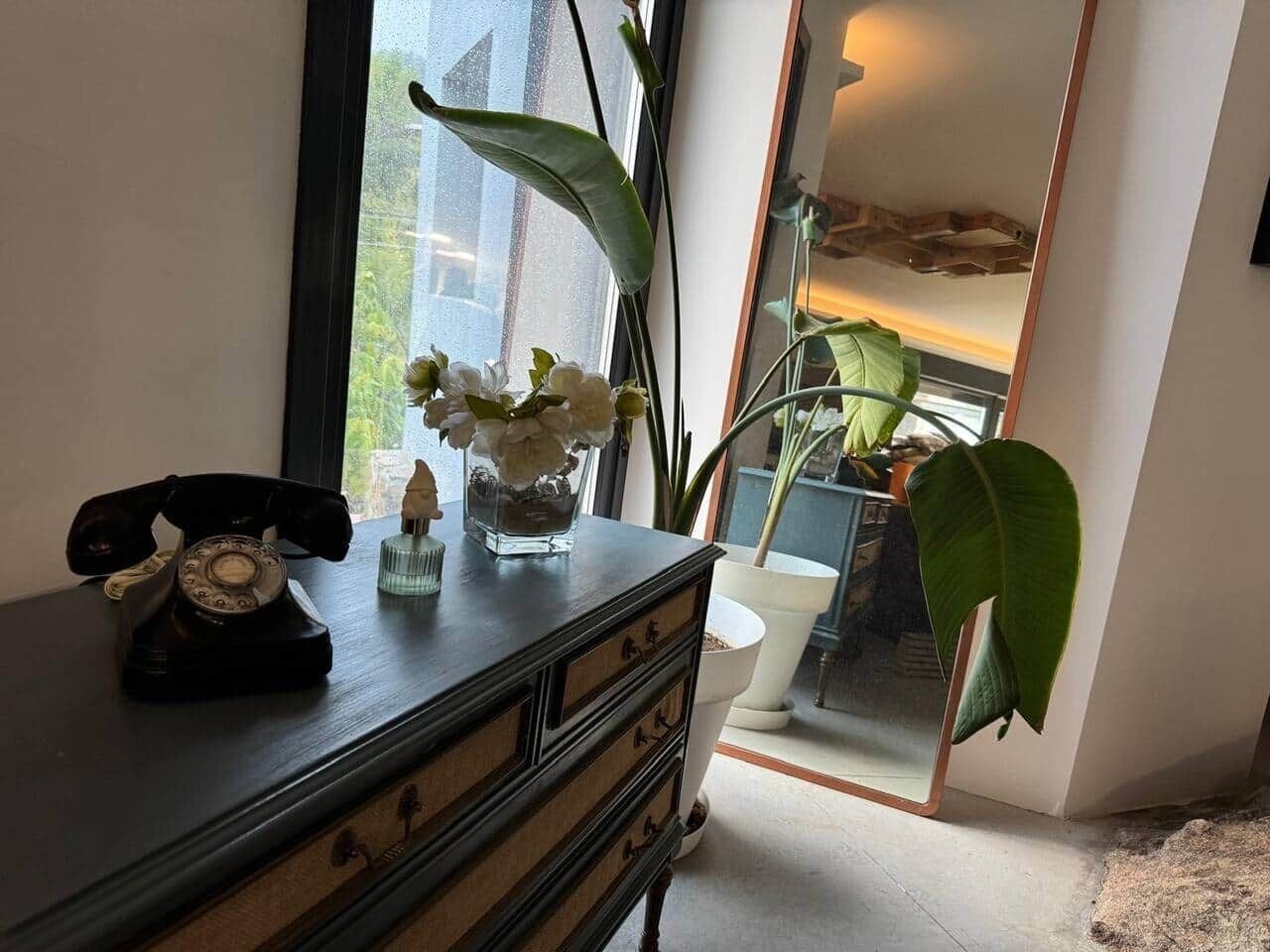 A room with a wooden dresser, a vase with flowers, a potted plant, and a mirror reflecting the room.