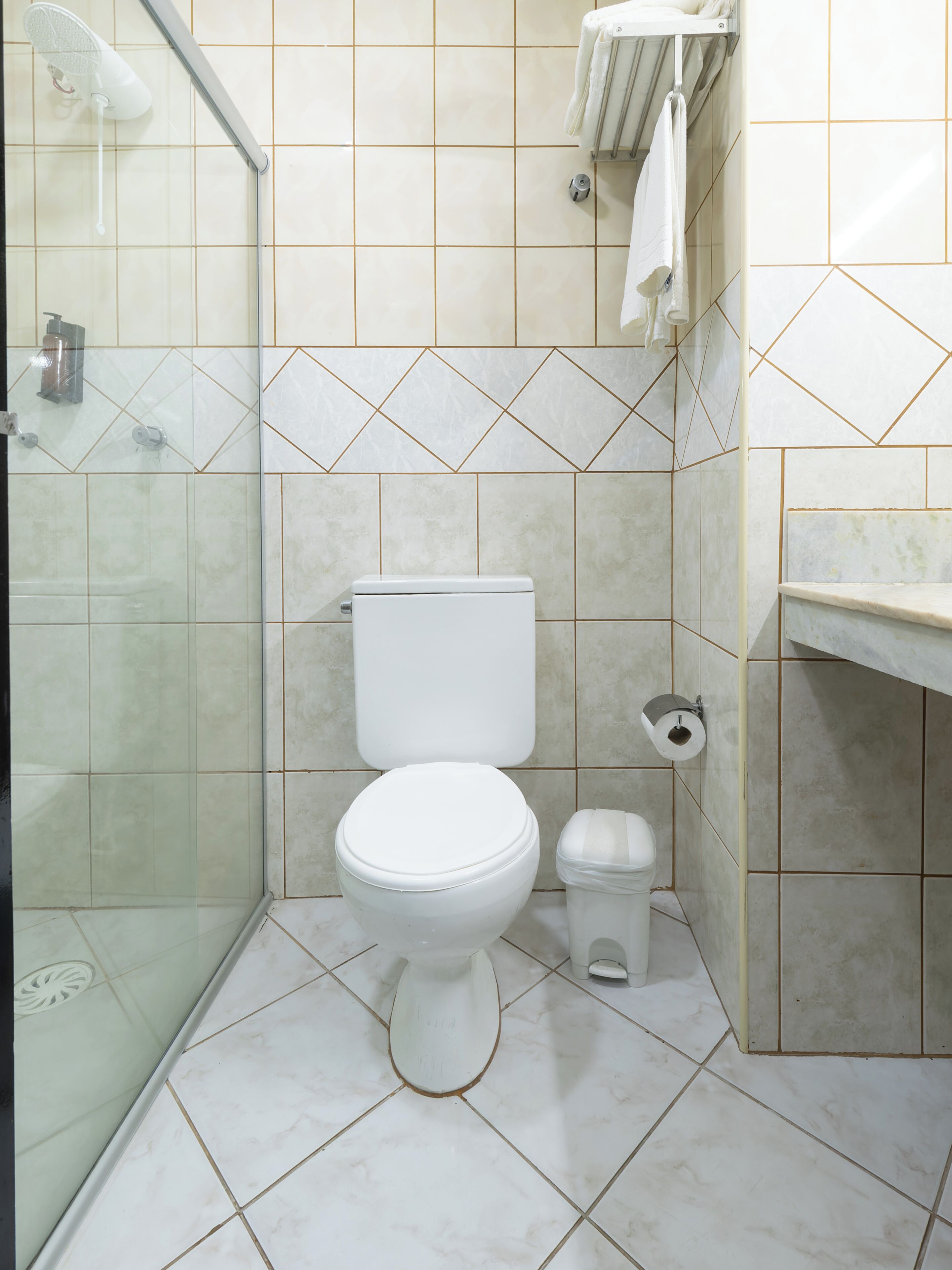 Un baño con inodoro, ducha y dispensador de papel higiénico.