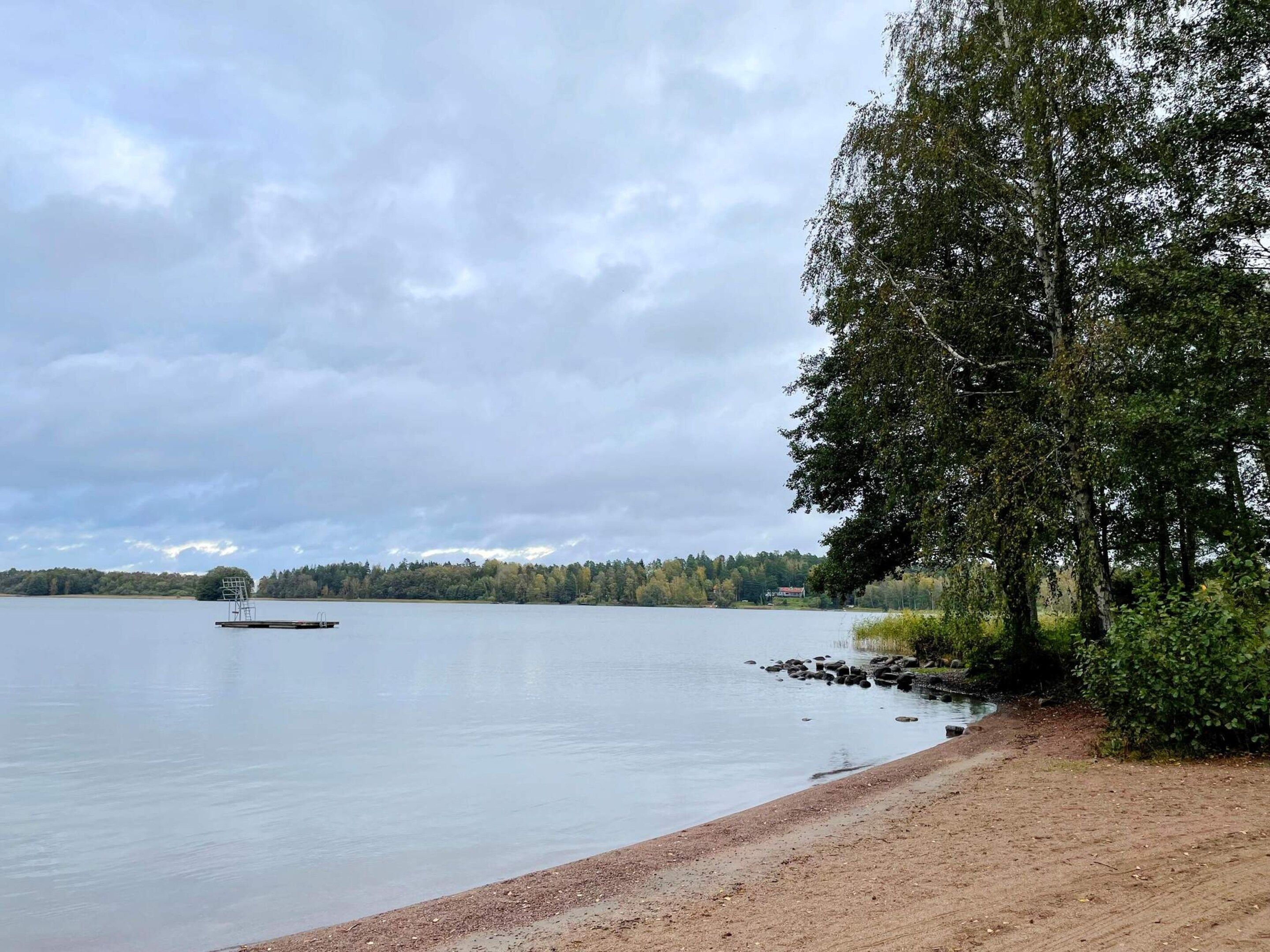 A lake with a dock, a sandy beach, and a forested shoreline.