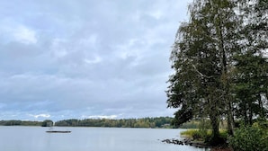 A serene lakeside view with a wooden dock extending into calm waters, surrounded by dense trees and a distant shoreline.