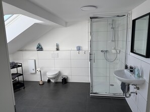 Chuveiro, secador de cabelo, toalhas de banho 