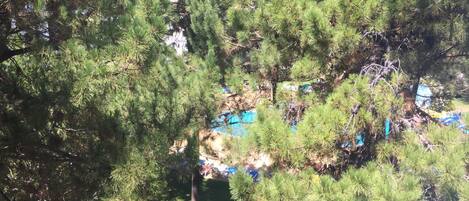 Enceinte de l’hébergement