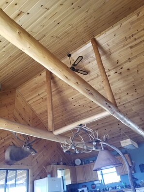 Unclassified image, 2 of 9, button