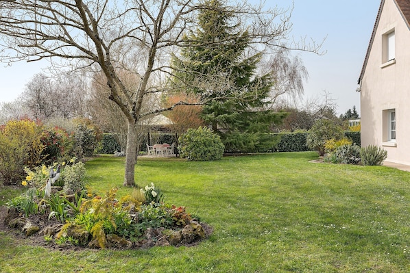A residential garden with a lawn, a variety of plants, and a tree.