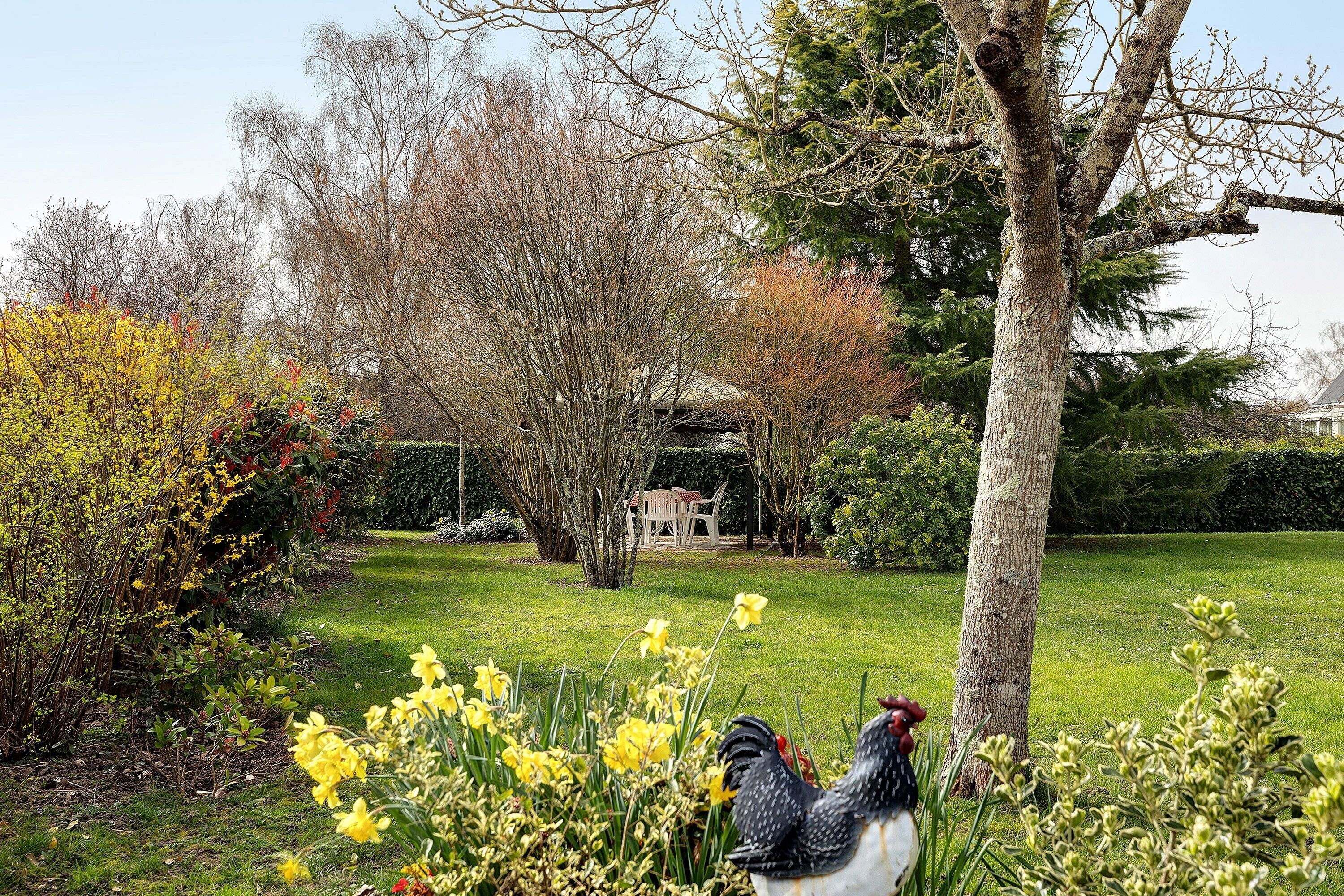 Parco della struttura