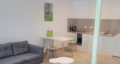 Apartment 'Ferienwohnung Im Alten Ochsenstall' with Shared Terrace and Shared Garden