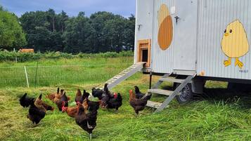 Enceinte de lâhĂ©bergement
