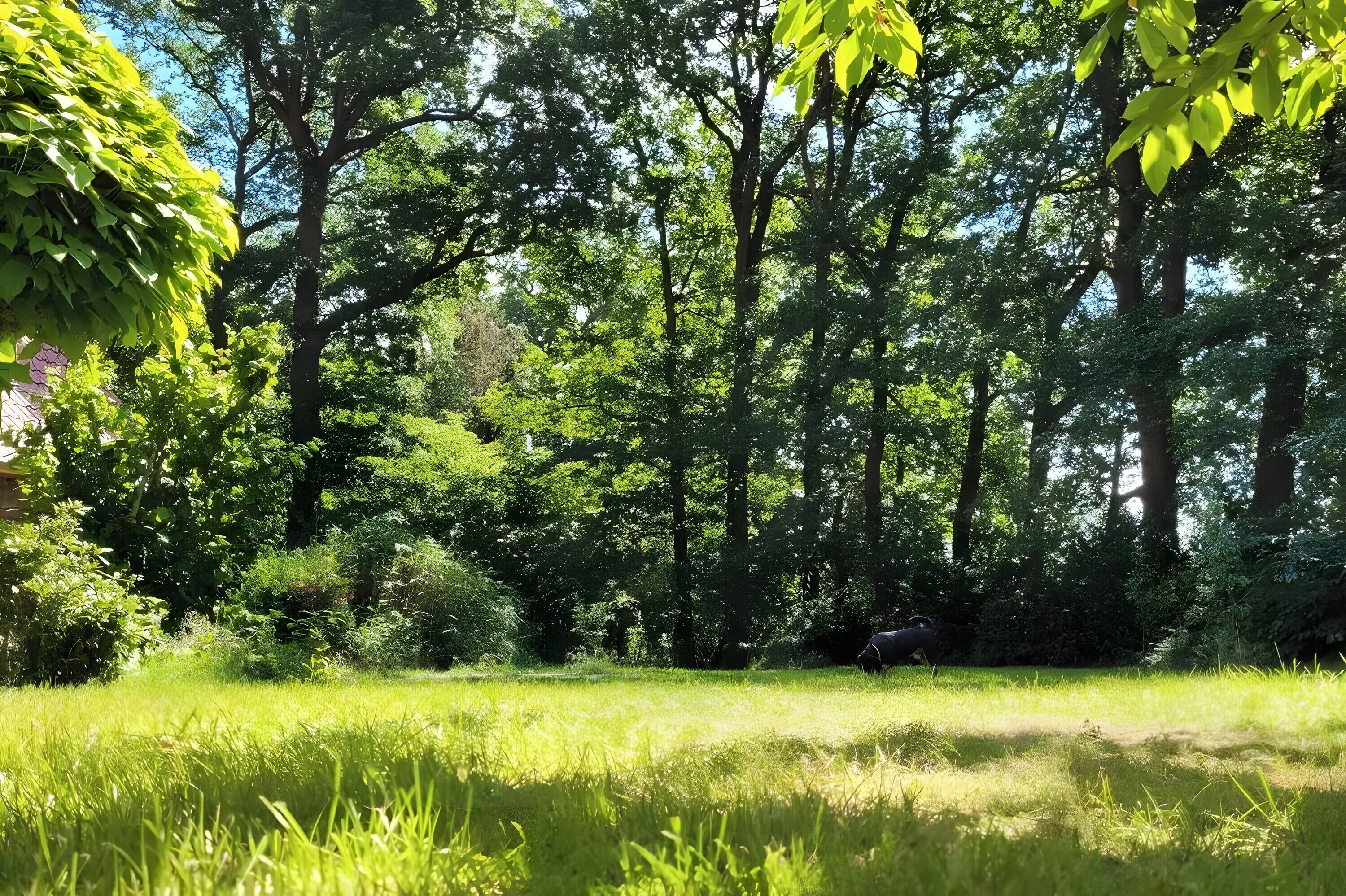 Parco della struttura