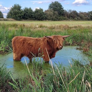 Imagem sem classificação, 3 de 15, botão