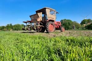 Nicht klassifiziertes Bild, 4 von 15, Schaltfläche