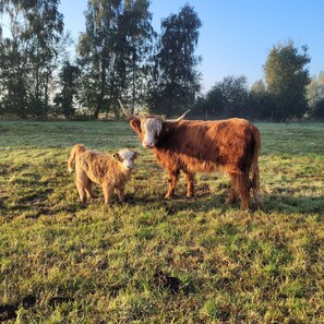 Nicht klassifiziertes Bild, 2 von 15, Schaltfläche