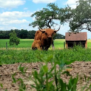 Nicht klassifiziertes Bild, 3 von 15, Schaltfläche