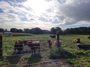 Nicht klassifiziertes Bild, 4 von 24, Schaltfläche