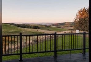 Immagine non classificata, 3 di 17, pulsante