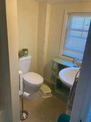 Eco-friendly toiletries, hair dryer, bidet, towels - The Wild Yard Home (South Portland)
