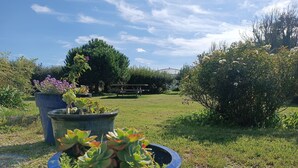 Ein Garten mit Kübelpflanzen, einer Holzbank und einem Picknicktisch.