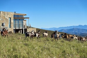 A stone building with a modern design, a balcony, and a mountainous landscape in the background. - Goats Window Luxury Safari Lodge Prestige Collection  (Bonnievale)