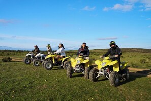 Photo non classée, 4 sur 29, bouton