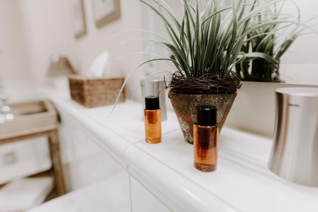 Un baño con encimera blanca, una planta en maceta y dos botellas de líquidos.