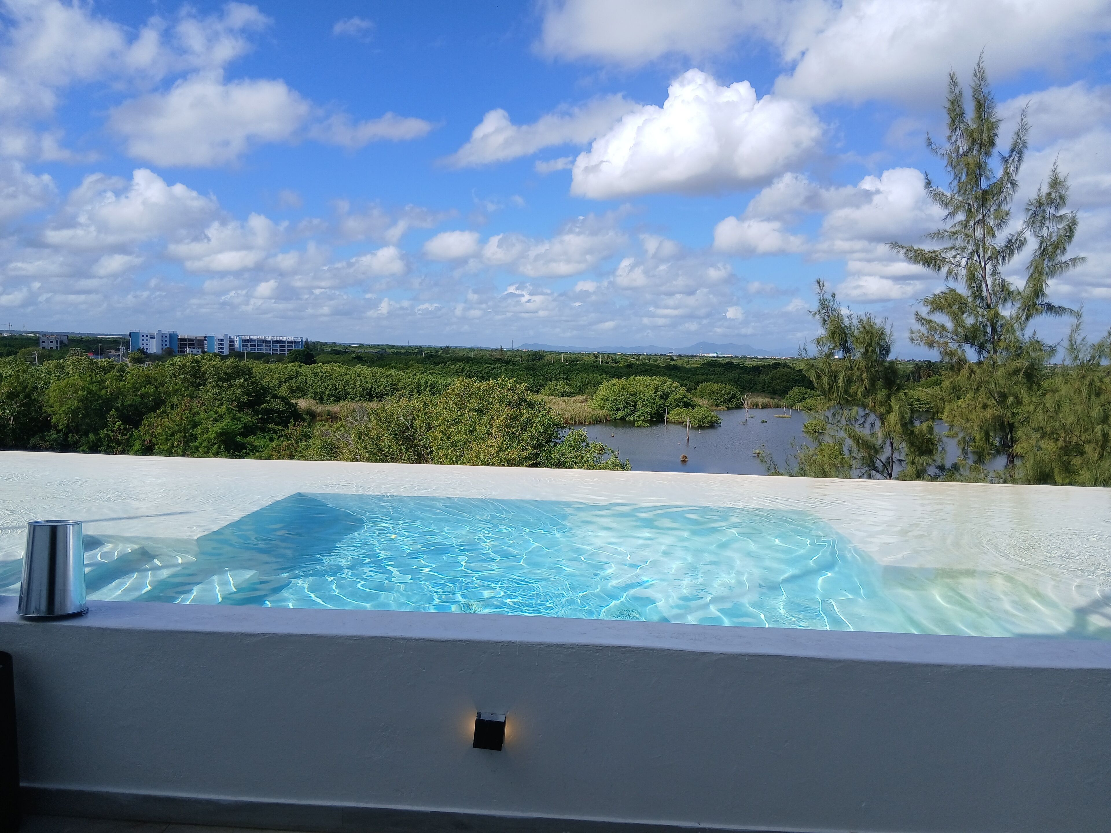 Ein Infinity-Pool auf dem Dach mit freiem Blick auf einen Mangrovenwald und entfernte Gebäude.
