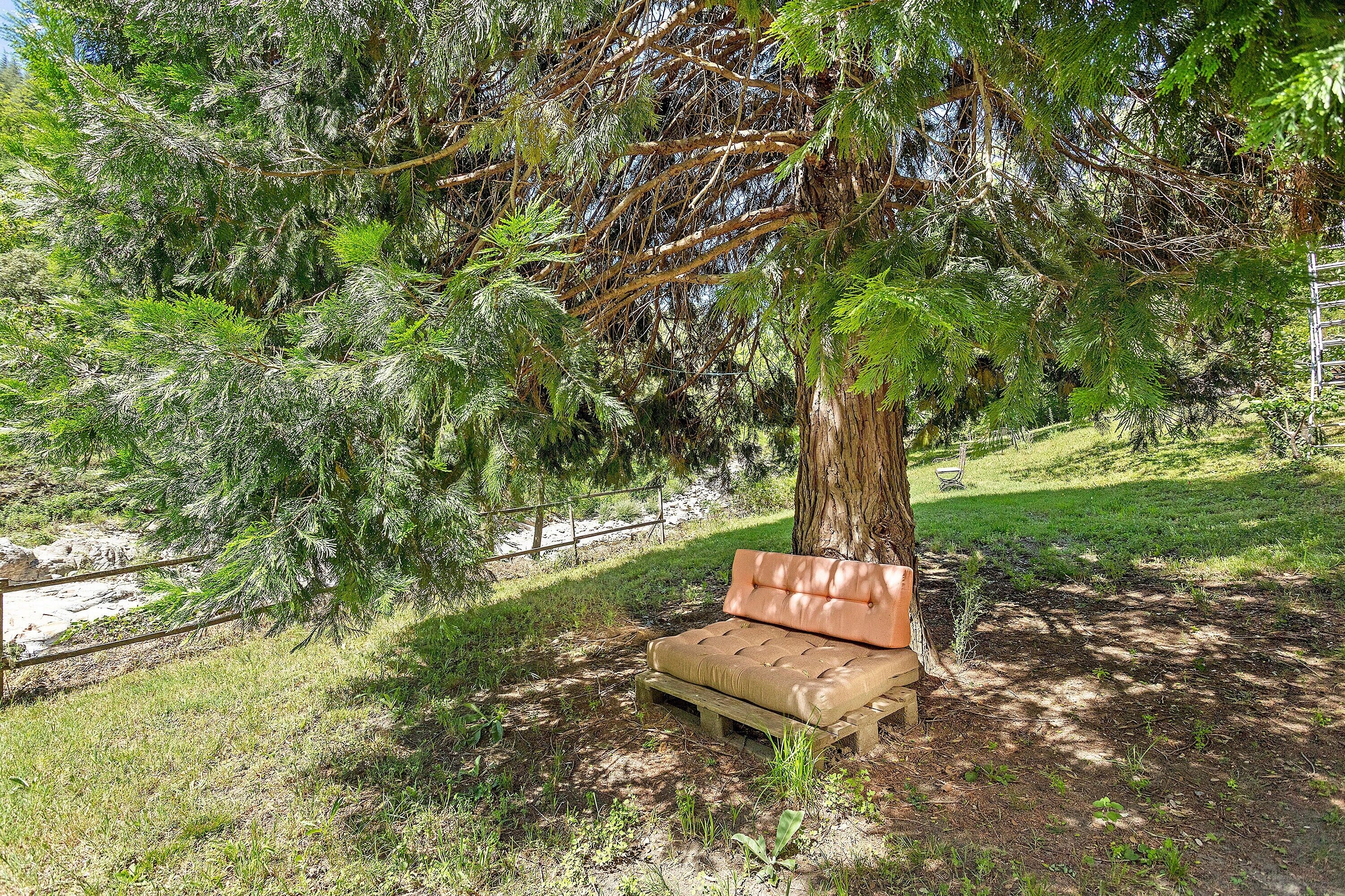 Un banc sous un arbre, dans un parc.