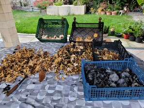 Photo non classée, 3 sur 27, bouton