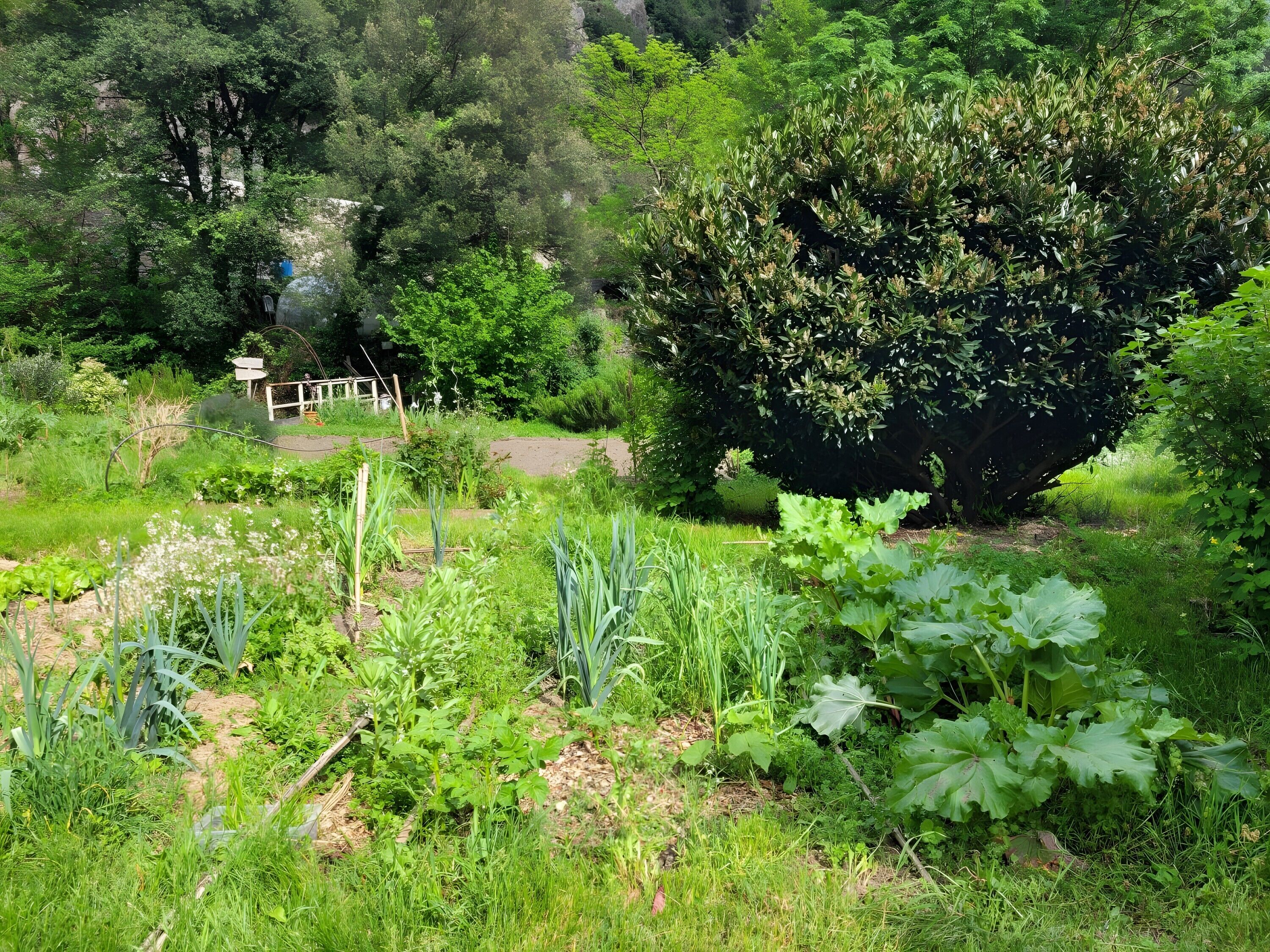 Terrein van de accommodatie