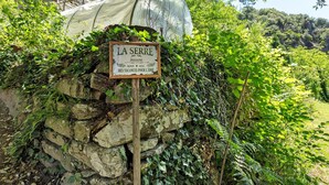 A stone wall with a sign reading 'LA SERRE' and a greenhouse structure. - Holiday Home 'Maison En Cevennes' with Mountain View, Private Pool and Private Terrace (L'Estréchure)