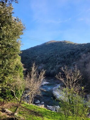 Photo non classée, 4 sur 27, bouton