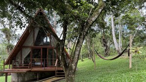 Une cabane en bois dotée d’un balcon, entourée d’une végétation luxuriante et d’arbres.