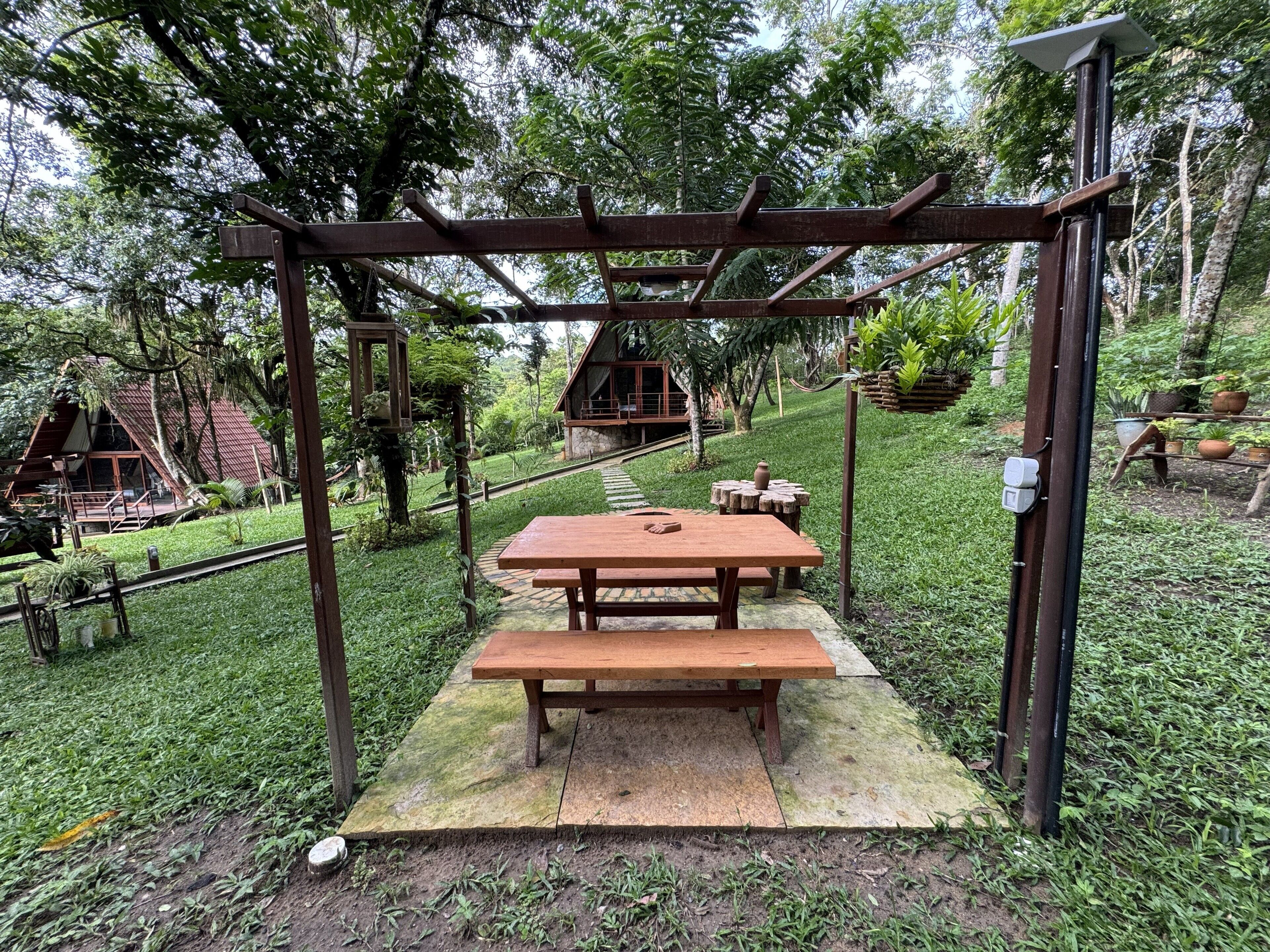 A wooden pergola with benches in a lush garden setting.