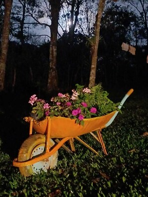 Imagen sin descripción, 2 de 14, botón