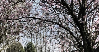 Appartement « Gßte Le Pigeonnier » avec terrasse privée, jardin commun et Wi-Fi