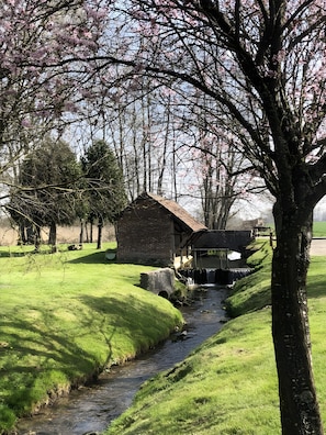 Paisaje rural con una pequeña construcción de madera, un arroyo y árboles.