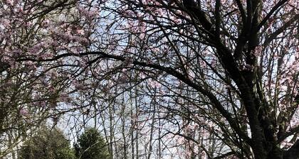 Le Pigeonnier Guest Rooms – Gîte du Moulin