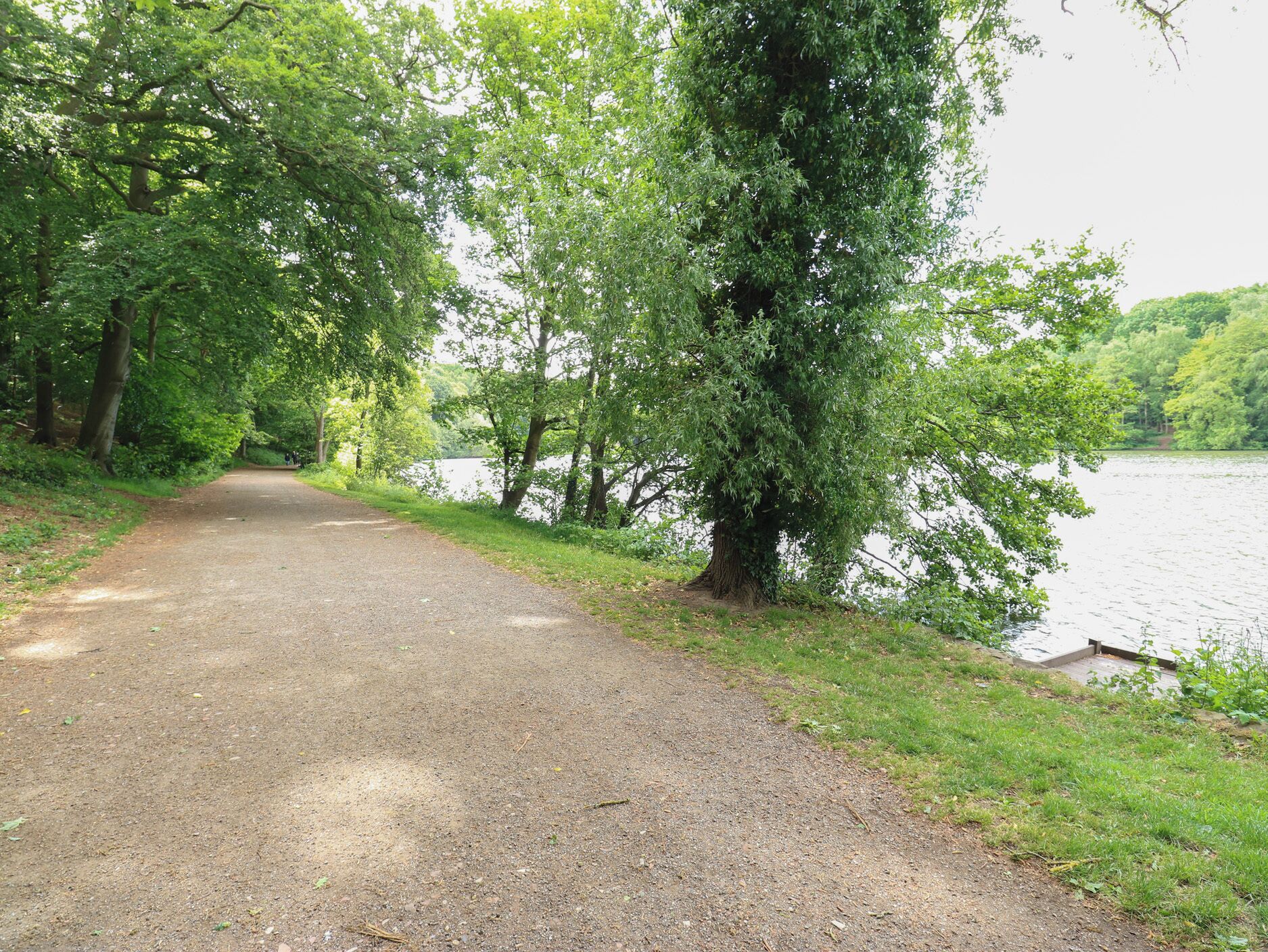 A gravel path leading to a body of water, surrounded by trees.