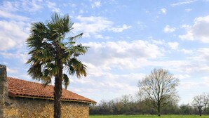 Un vialetto lastricato conduce a un edificio in pietra con tetto in tegole, immerso nel verde sotto un cielo sereno.
