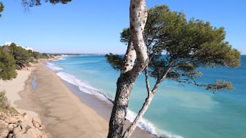 Una spiaggia nelle vicinanze
