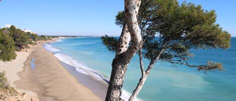 Beach nearby
