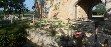 المنطقة المحيطة بالمنشأة