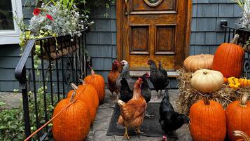 DĂ©tail de lâextĂ©rieur