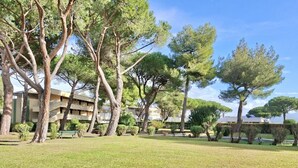 Property grounds - Staying in the Marina di Bibbona Apartments combines the convenience of feeling at home with the comfort of a holiday in a green setting, just steps from the sea and all the main amenities. With its pleasant atmosphere, <b>Marina di Bibbona</b> combines  (Marina di Bibbona)