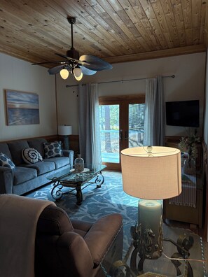 Smart TV, fireplace, books