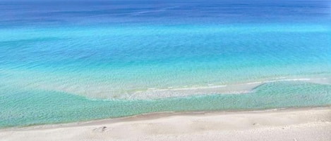 Condo, Multiple Beds (Emerald Beach 2030) | Beach | On the beach