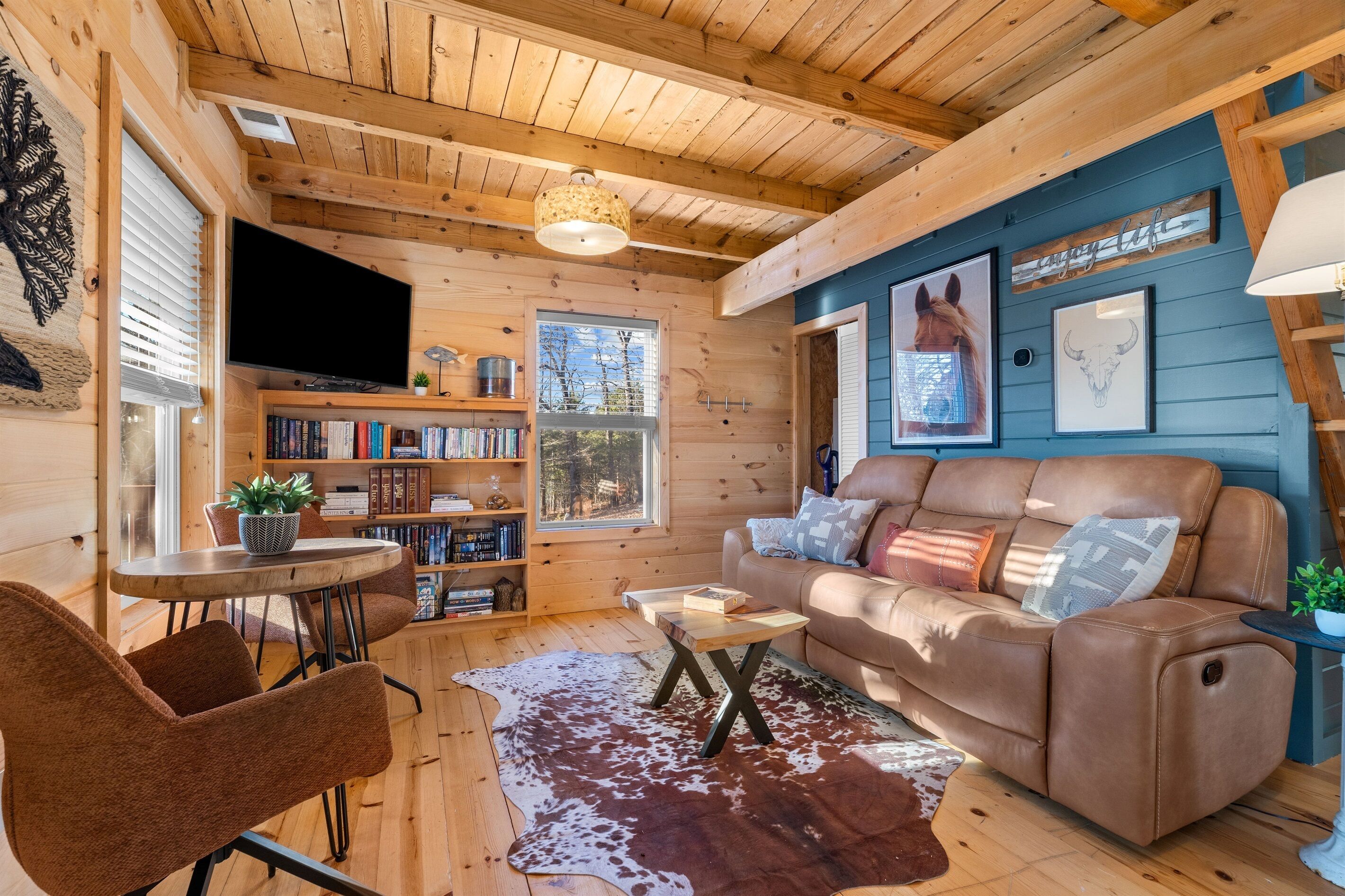 Smart TV, DVD player, books, music library